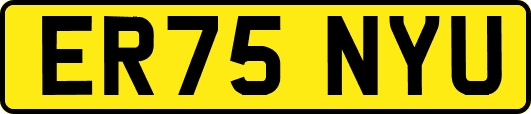 ER75NYU