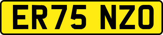 ER75NZO