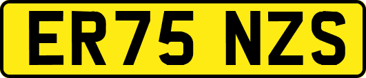 ER75NZS