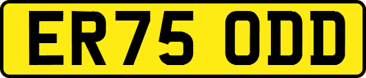 ER75ODD