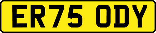 ER75ODY