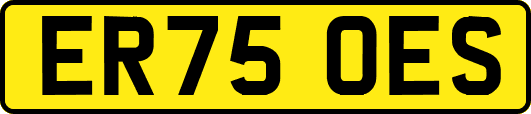 ER75OES