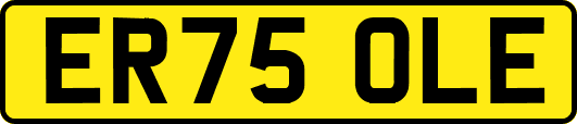 ER75OLE
