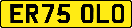 ER75OLO