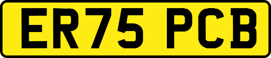 ER75PCB