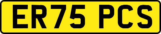 ER75PCS