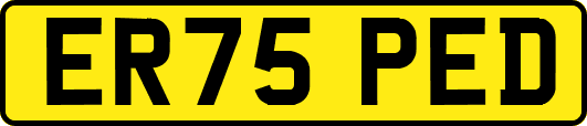 ER75PED