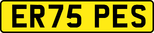 ER75PES