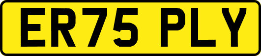 ER75PLY