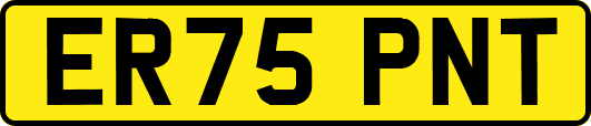 ER75PNT