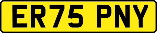 ER75PNY