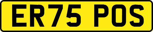 ER75POS