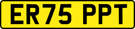 ER75PPT