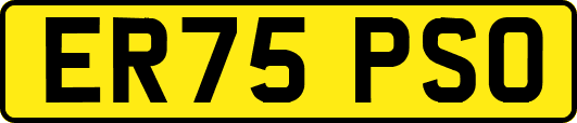 ER75PSO