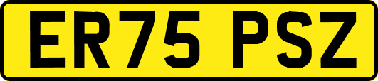 ER75PSZ