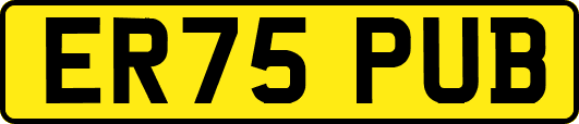ER75PUB
