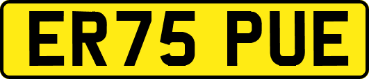 ER75PUE