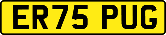 ER75PUG