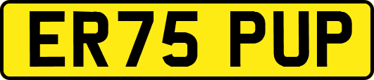 ER75PUP