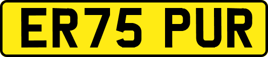 ER75PUR