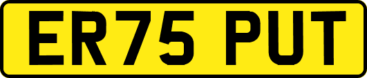ER75PUT