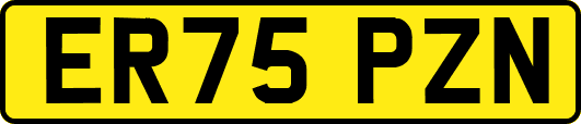 ER75PZN