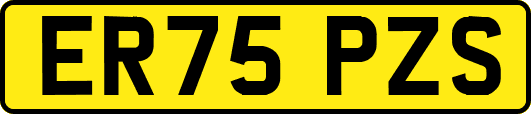 ER75PZS
