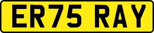 ER75RAY