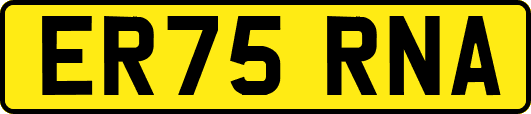 ER75RNA