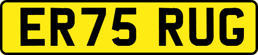 ER75RUG