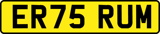 ER75RUM