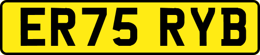 ER75RYB