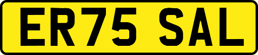 ER75SAL