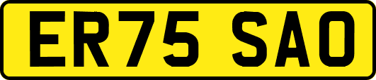 ER75SAO