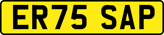 ER75SAP