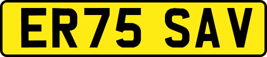 ER75SAV