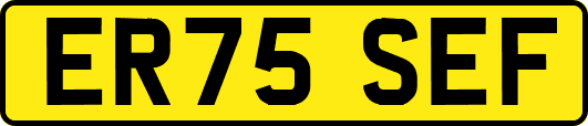 ER75SEF