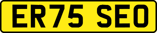 ER75SEO