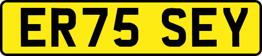 ER75SEY