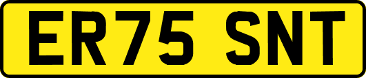 ER75SNT