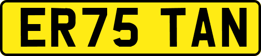 ER75TAN