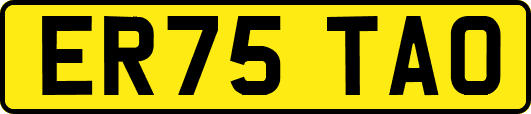 ER75TAO