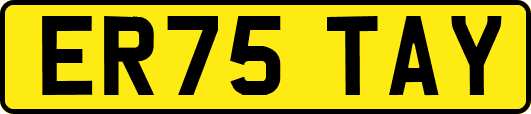 ER75TAY