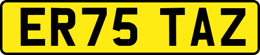 ER75TAZ