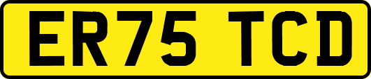 ER75TCD