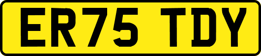 ER75TDY