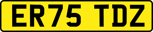 ER75TDZ