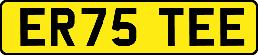 ER75TEE