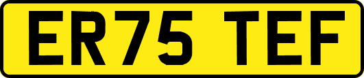 ER75TEF
