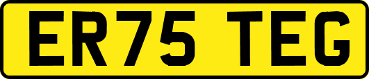 ER75TEG